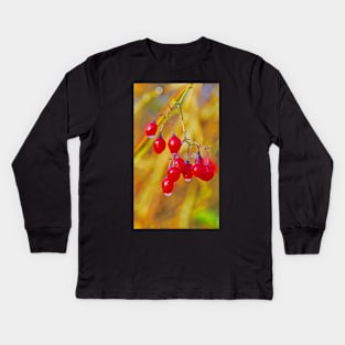 Red Berries Kids Long Sleeve T-Shirt